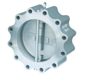 Clapet anti-retour de fonte horizontale de verticale, service d'OEM de valve de seconde vérification de crochet